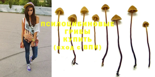 гидропоника Надым