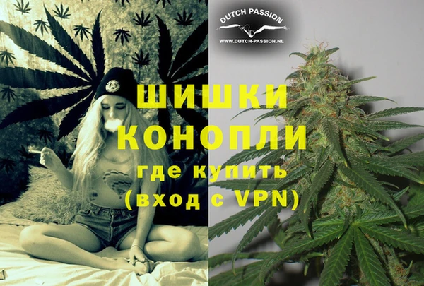 индика Навашино
