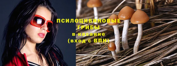 индика Навашино