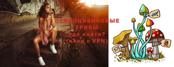 индика Навашино