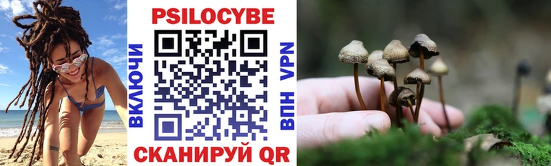 купить наркотики сайты  Назрань  кракен ТОР  Псилоцибиновые грибы ЛСД 