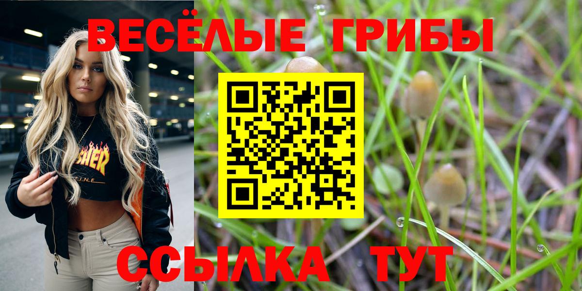 Псилоцибиновые грибы Psilocybine cubensis Назрань