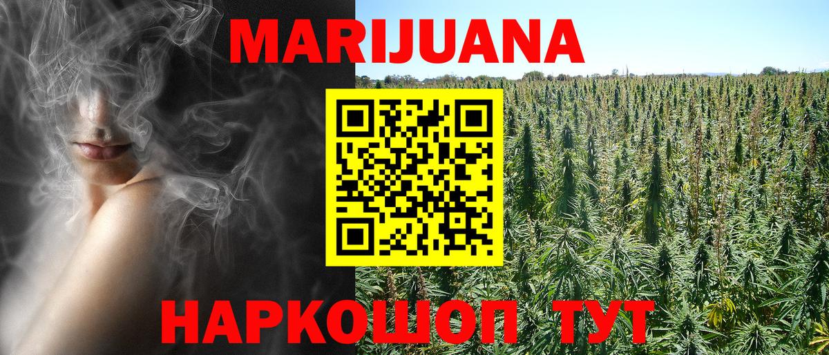 Шишки марихуана конопля  Канабис план  Вход с VPN  Назрань 